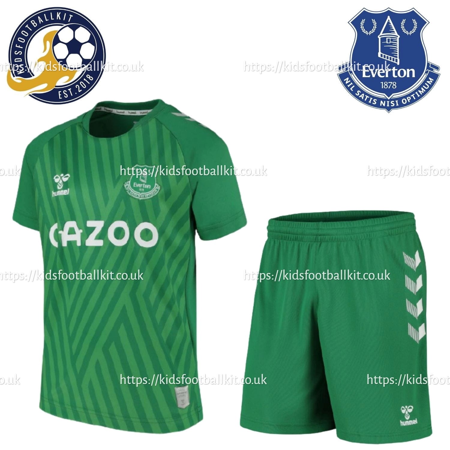 everton gk shirt