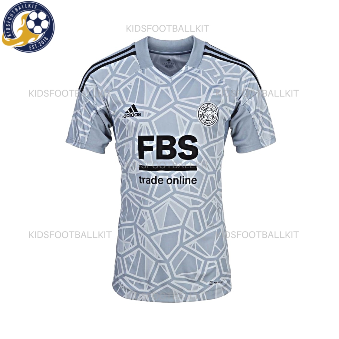 Leicester City Goalkeeper Grey Kit