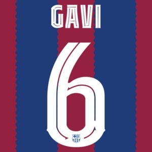 GAVI 6