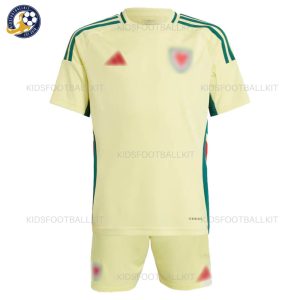 Wales Away Kids Football Kit 2024