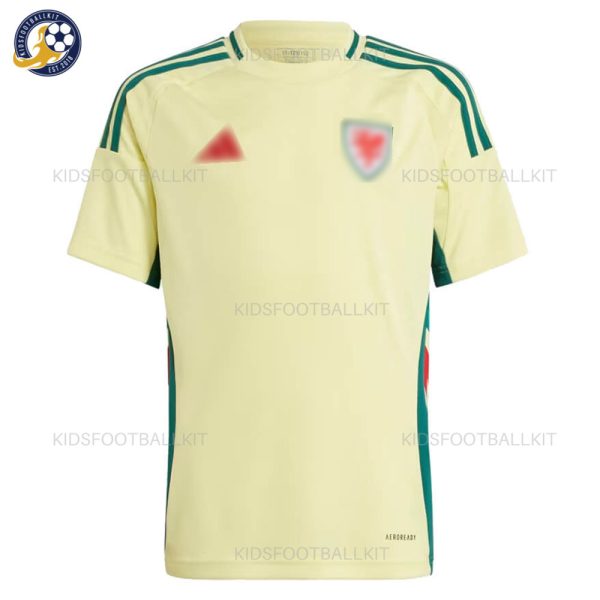 Wales Away Men Football Shirt 2024