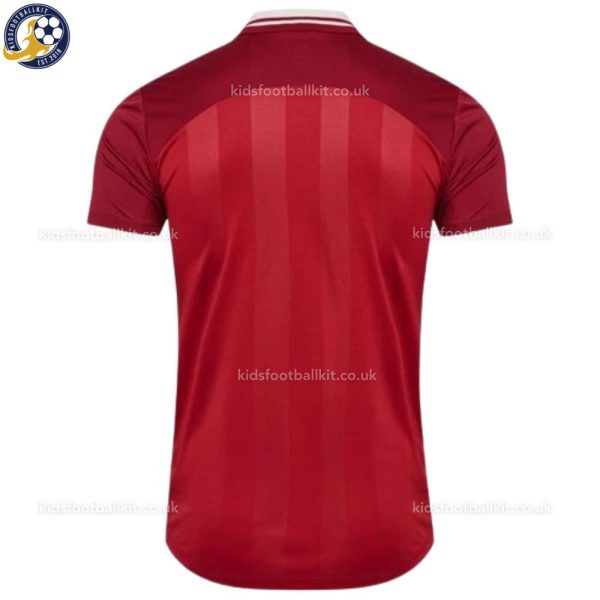 Denmark Home Men Football Shirt 2025 - Back View