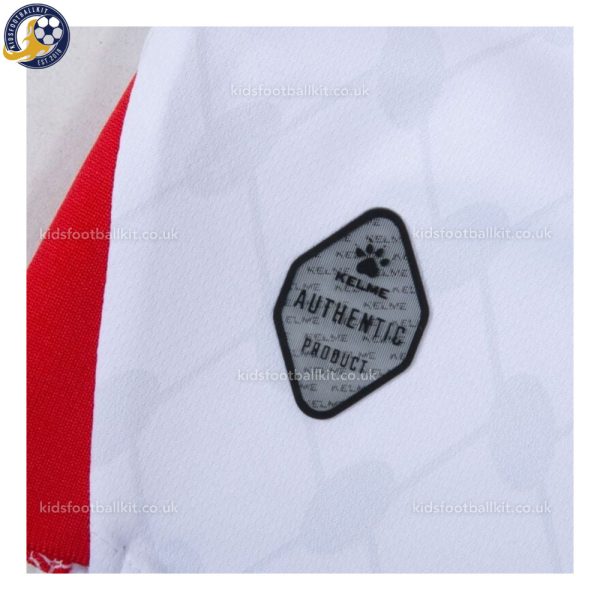 aPalestine Home Men Football Shirt 2025/26 - Details (3)
