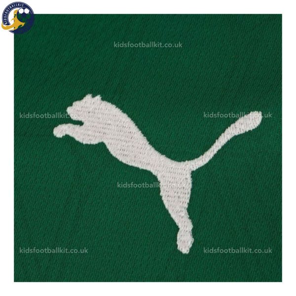 Palmeiras Home Men Football Shirt 2025/26 - Details (1)