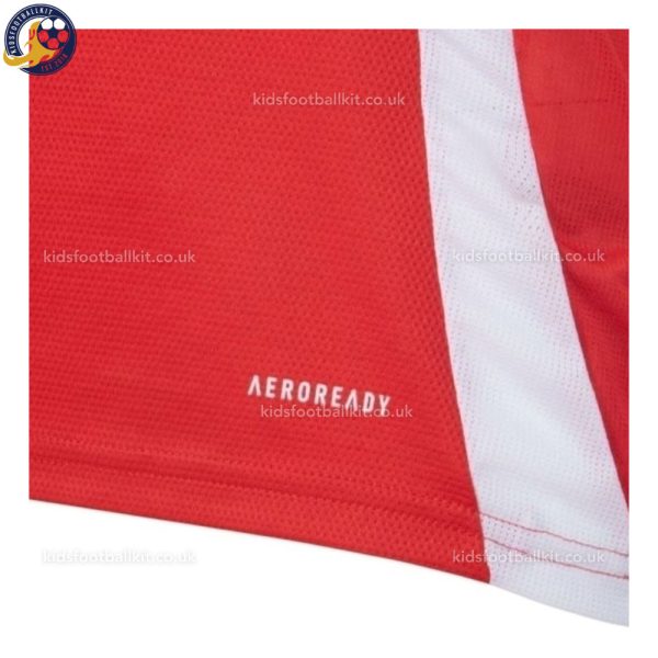 SC Internacional Home Men Football Shirt 2025/26 - Details (1)