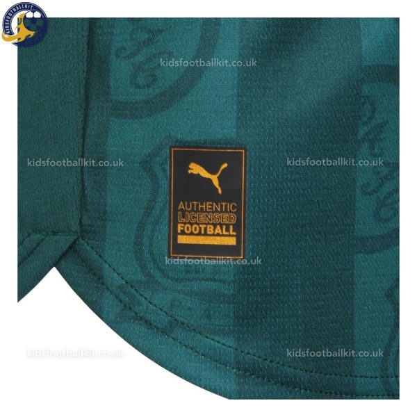 Plymouth Argyle Home Kids Football Kit 2025/26 - Details (4)
