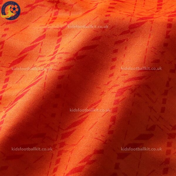 Everton Goalkeeper Orange Third 25 26 Men Footballl Shirt-detail3