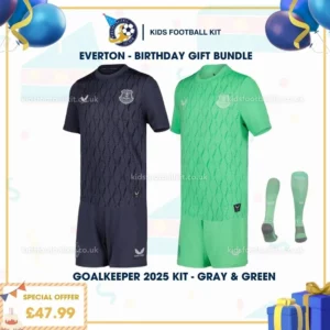 Everton Goalkeeper Kids Football Kit 25_26-gray & green - birthday