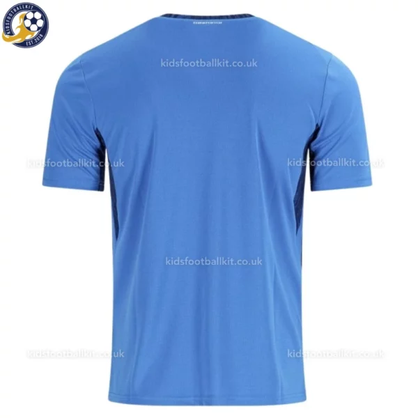Iceland Home Men Football Shirt 2026-back view
