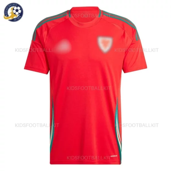 KFK_Wales-Home-Stadium-Men-Football-Shirt-2024-r