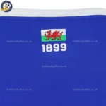 Cardiff City home kids kit 26_27-detail2