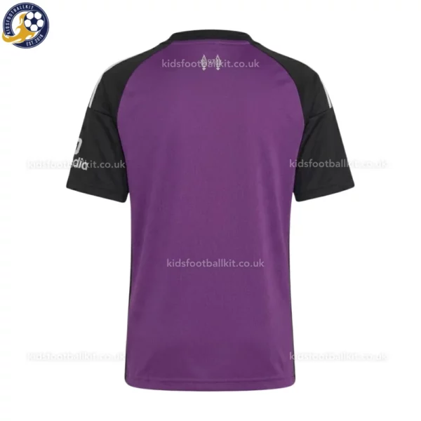 l-p goalkeeper kids kit 26_27-back view-purple